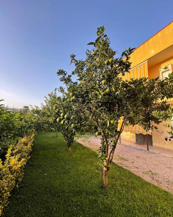 Casa Vacanze Paradise Santa Maria La Carita Ngoại thất bức ảnh