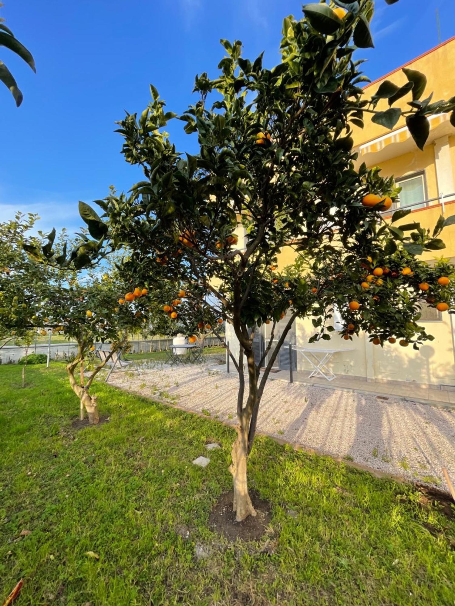 Casa Vacanze Paradise Santa Maria La Carita Ngoại thất bức ảnh